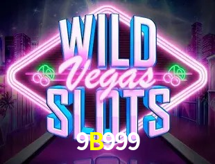 Sistemas de Segurança 9B999